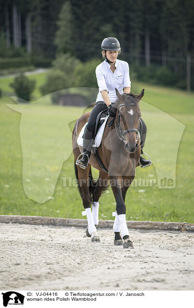 woman rides Polish Warmblood / VJ-04416