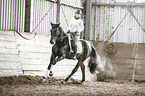 woman rides Polish Warmblood