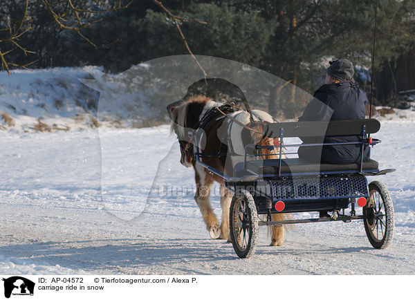 Kutschfahrt im Winter / carriage ride in snow / AP-04572