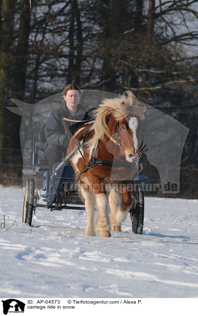 Kutschfahrt im Winter / carriage ride in snow / AP-04573