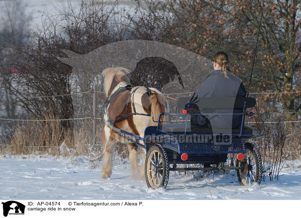 Kutschfahrt im Winter / carriage ride in snow / AP-04574
