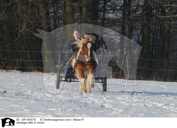 Kutschfahrt im Winter / carriage ride in snow / AP-04575