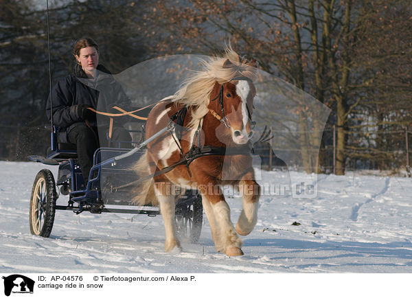Kutschfahrt im Winter / carriage ride in snow / AP-04576