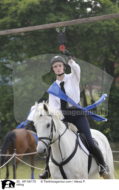 Ringreiten / riding / AP-08170