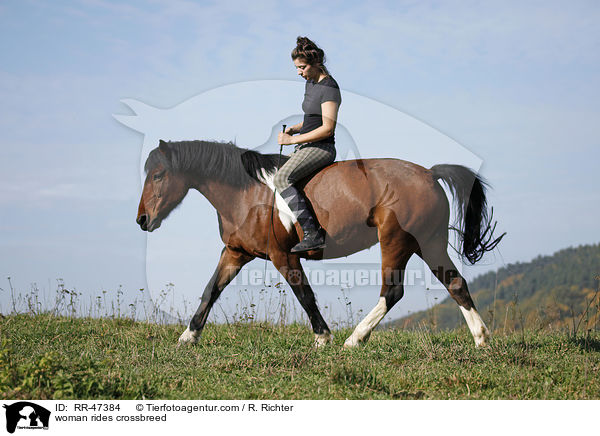Frau reitet Islnder-Haflinger-Mix / woman rides crossbreed / RR-47384