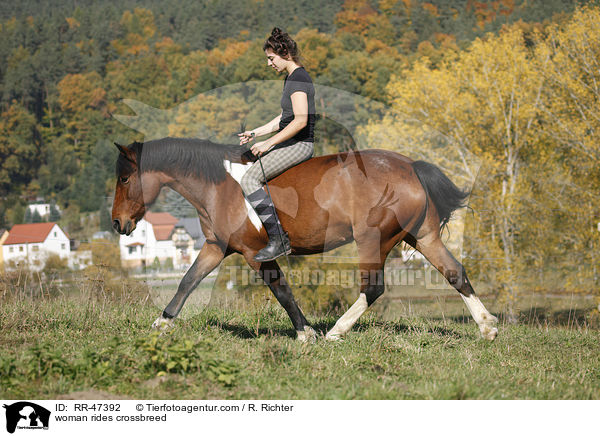 Frau reitet Islnder-Haflinger-Mix / woman rides crossbreed / RR-47392