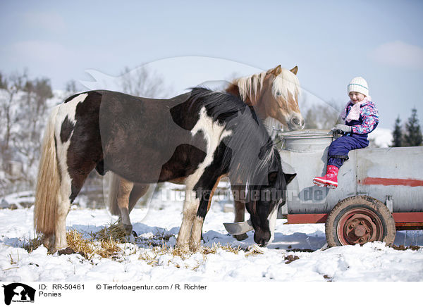 Ponies / RR-50461