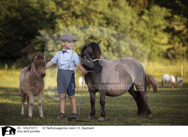 Junge und Ponys / boy and ponies / VD-01011