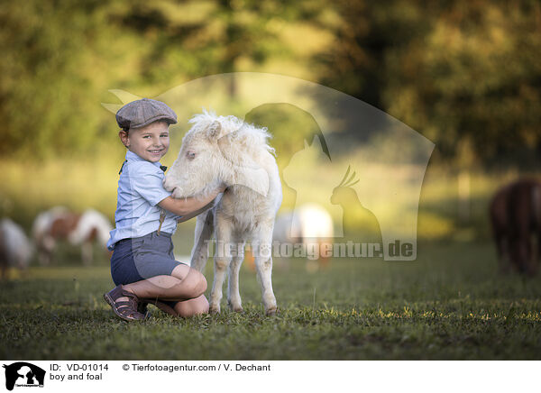 Junge und Fohlen / boy and foal / VD-01014
