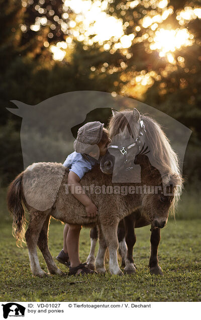 Junge und Ponys / boy and ponies / VD-01027