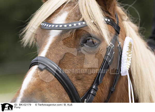 Pony / Pony / BK-02179