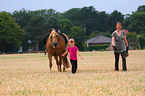 Pony
