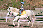 girl learns riding