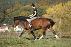 woman rides crossbreed