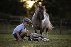 boy, dog and pony