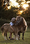 boy and ponies