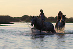 riders and horses in the water