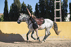 woman and Pura Raza Espanola