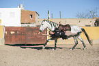 woman and Pura Raza Espanola