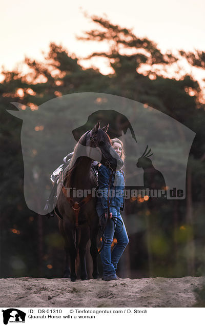 Quarab Horse with a woman / DS-01310