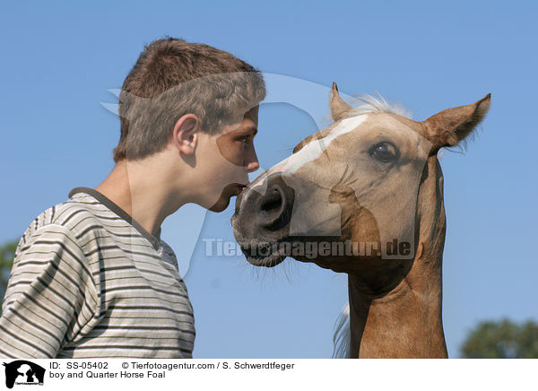 Junge und Quarter Horse Fohlen / boy and Quarter Horse Foal / SS-05402