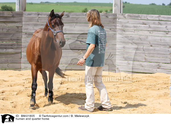 Mensch und Quarter Horse / human and quarter horse / BM-01805