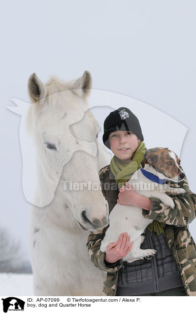 boy, dog and Quarter Horse / AP-07099