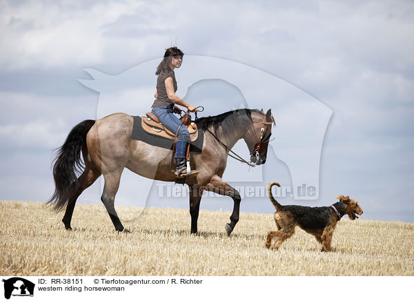 western riding horsewoman / RR-38151