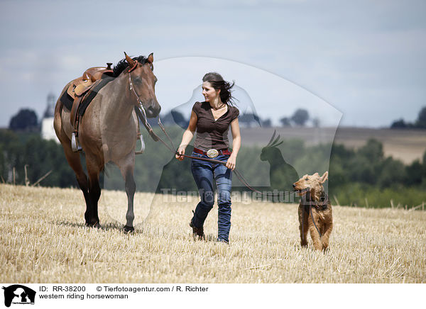 western riding horsewoman / RR-38200