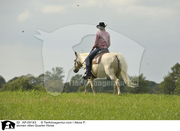 Frau reitet Quarter Horse / woman rides Quarter Horse / AP-09183