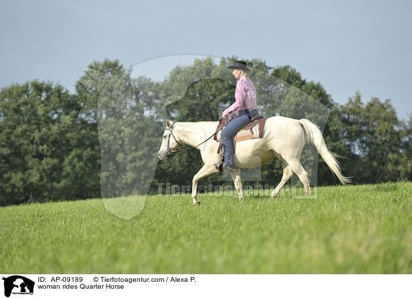 Frau reitet Quarter Horse / woman rides Quarter Horse / AP-09189