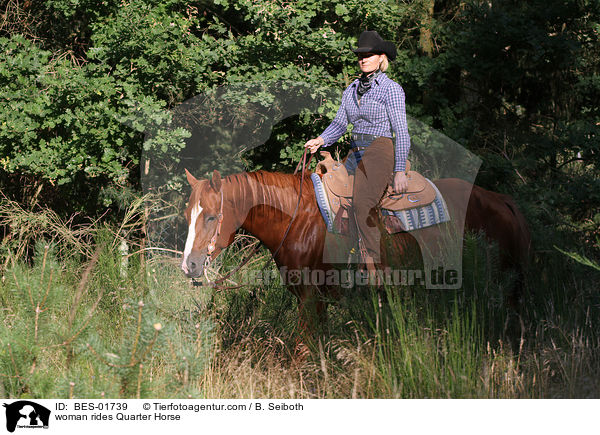 Frau reitet Quarter Horse / woman rides Quarter Horse / BES-01739