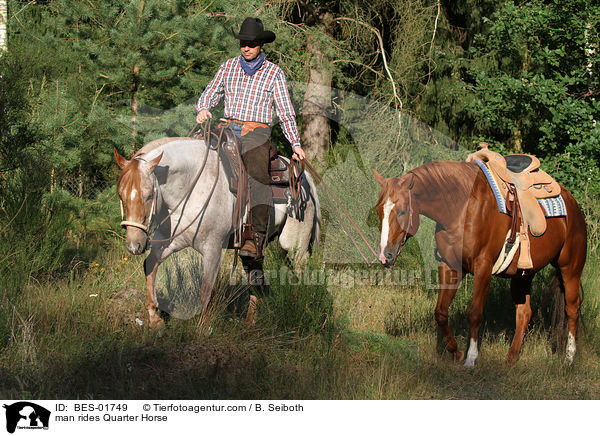 Mann reitet Quarter Horse / man rides Quarter Horse / BES-01749