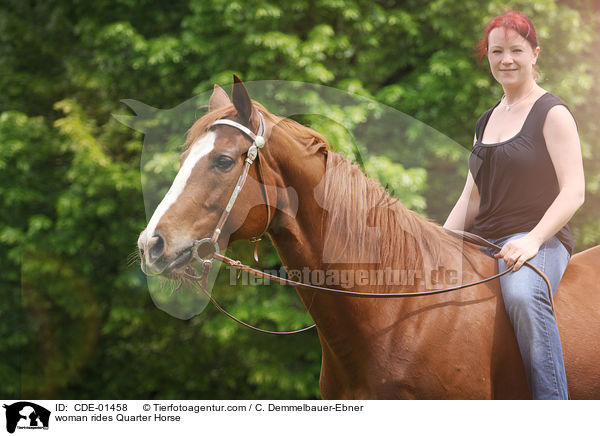 Frau reitet Quarter Horse / woman rides Quarter Horse / CDE-01458