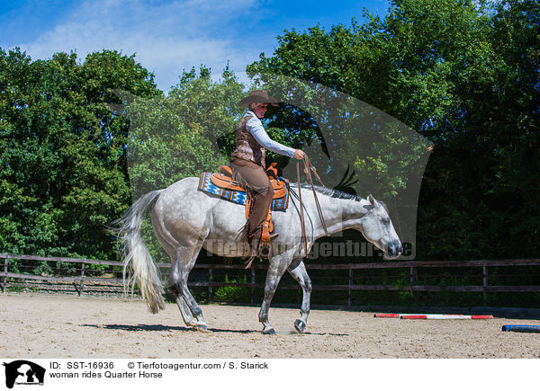 Frau reitet Quarter Horse / woman rides Quarter Horse / SST-16936