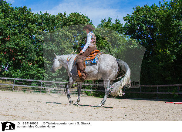 Frau reitet Quarter Horse / woman rides Quarter Horse / SST-16938