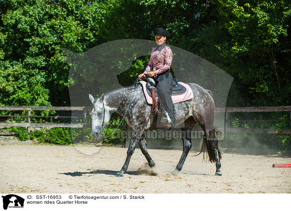 Frau reitet Quarter Horse / woman rides Quarter Horse / SST-16953