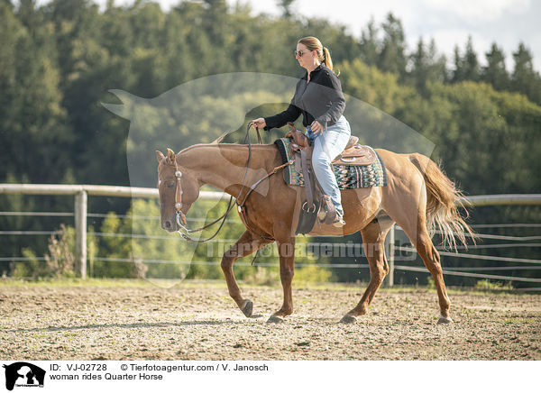 Frau reitet Quarter Horse / woman rides Quarter Horse / VJ-02728