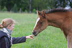 woman and Quarter Horse foal
