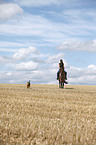 western riding horsewoman