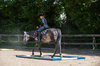 woman rides Quarter Horse