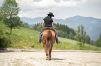 walking Quarter Horse