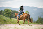 trotting Quarter Horse