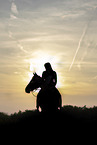 woman and Quarter Horse