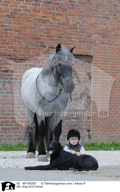 Kind, Hund und Pferd / kid, dog and horse / AP-06287