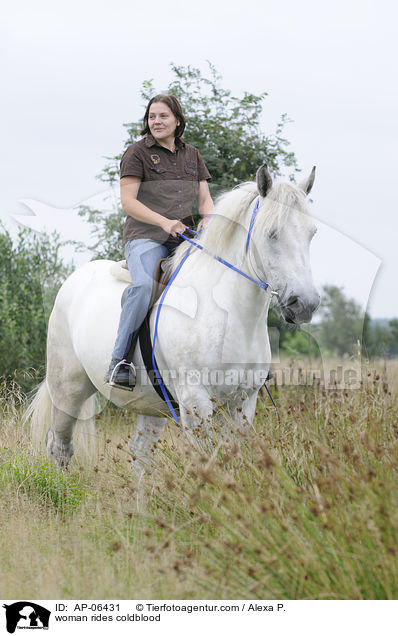 Frau reitet Rheinisch Deutsches Kaltblut / woman rides coldblood / AP-06431