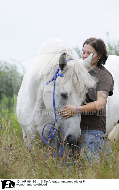 Frau und Rheinisch Deutsches Kaltblut / woman and coldblood / AP-06436