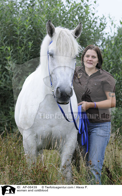 Frau und Rheinisch Deutsches Kaltblut / woman and coldblood / AP-06439