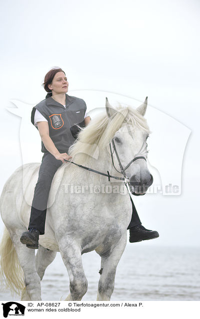 Frau reitet Rheinisch Deutsches Kaltblut / woman rides coldblood / AP-08627