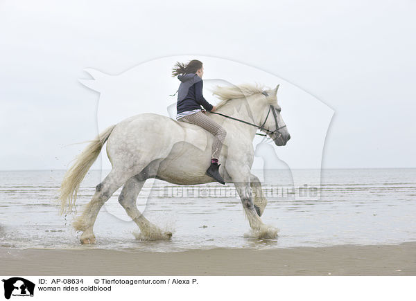 Frau reitet Rheinisch Deutsches Kaltblut / woman rides coldblood / AP-08634